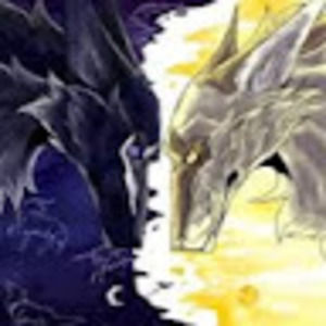 Meet your Posher, Shannon lacey